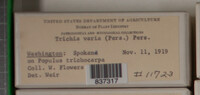 Image Associated With the Occurence